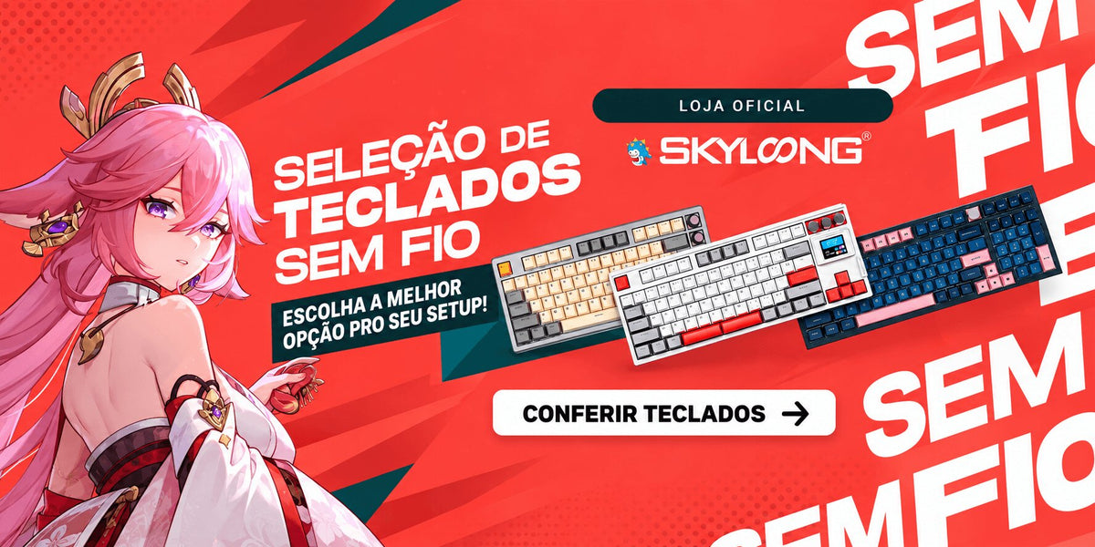 PROMO SKYLOONG